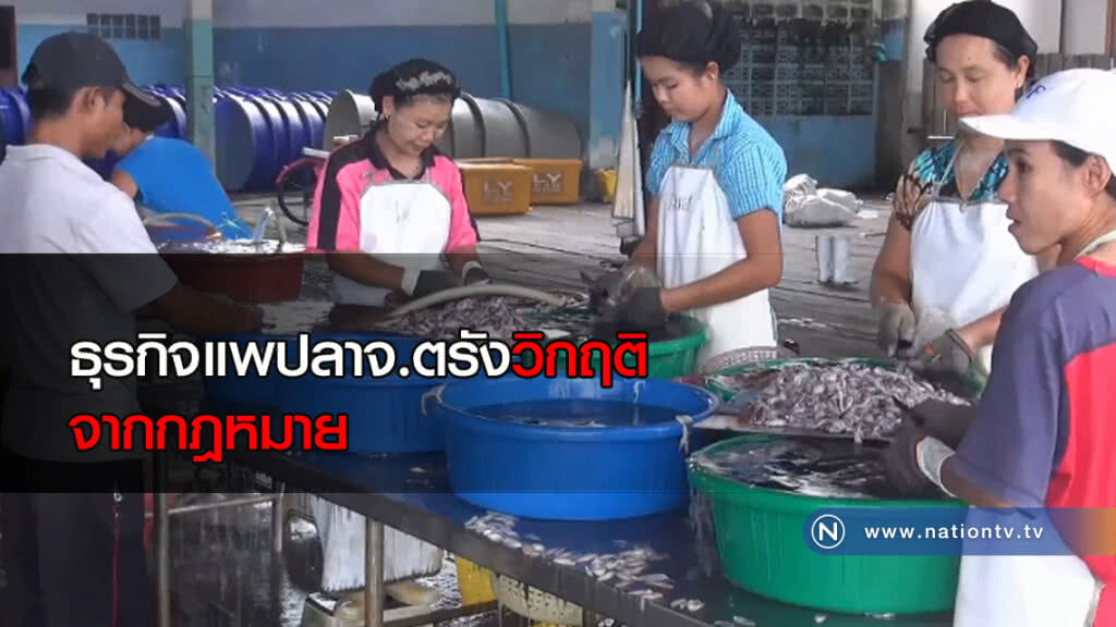 ธุรกิจแพปลาจ.ตรังวิกฤติ
