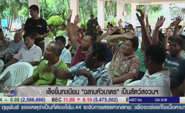 (คลิปข่าว) เล็งขึ้นทะเบียน "ฉลามหัวบาตร" เป็นสัตว์สงวนฯ