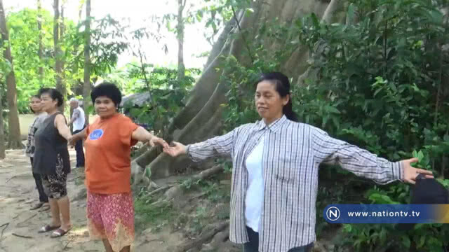 ทึ่งพบ"ต้นเรือง"ขนาด 36โอบ อายุกว่า 500ปี