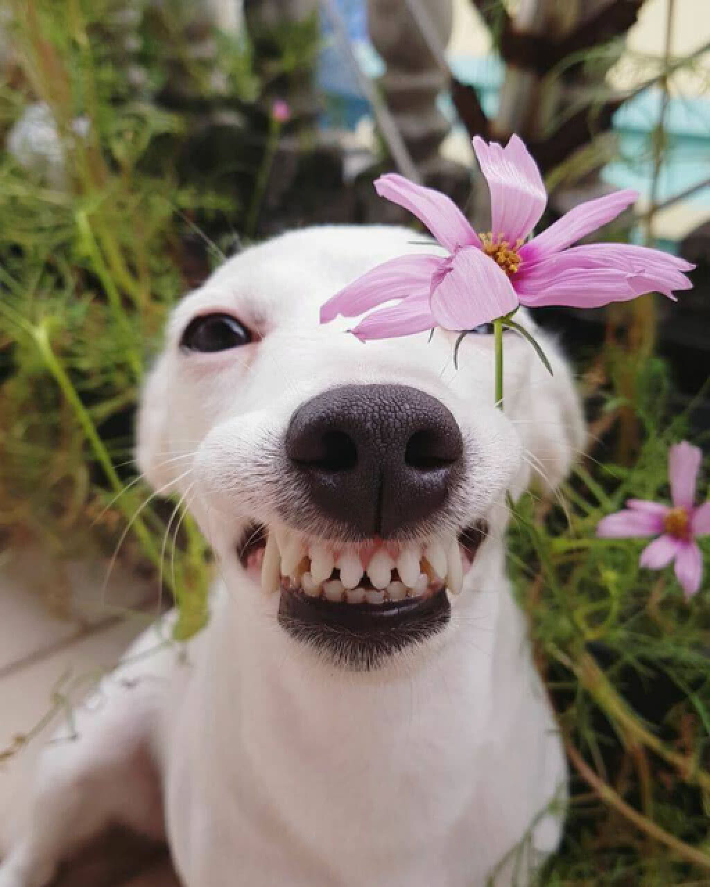 ยิ้มรับลม กับเช้าวันศุกร์ ยิ้มรับลม กับเช้าวันศุกร์