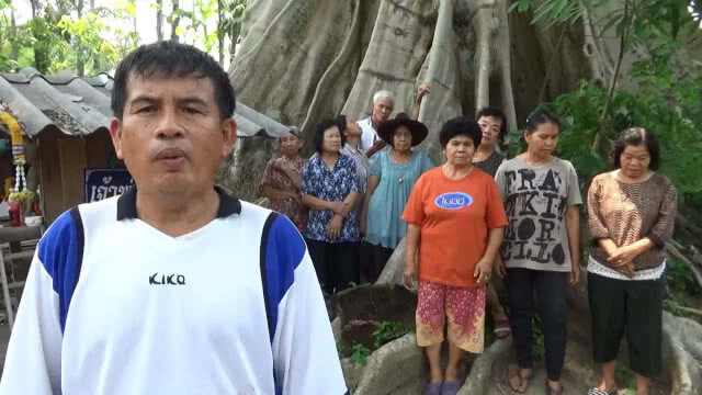 แห่ขอเลขเด็ด ต้นเรือง โบราณ อายุกว่า 500 ปี