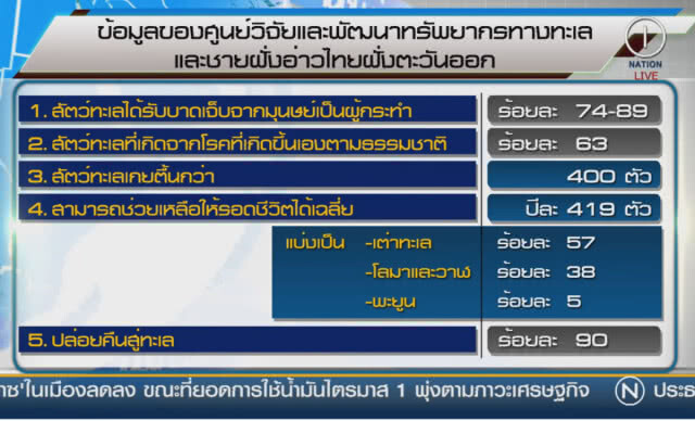 (คลิปข่าว) เร่งฟื้นฟูสัตว์ทะเลหายาก เสี่ยงสูญพันธุ์