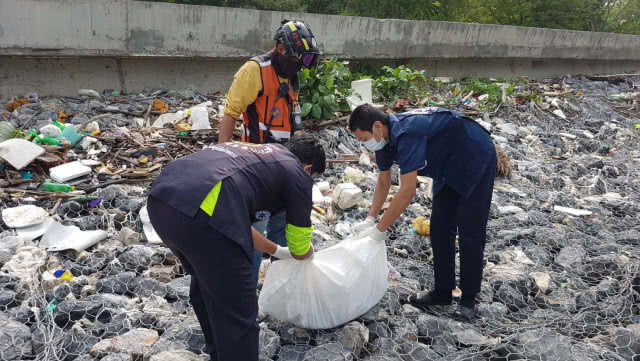 พบซากลูกโลมาปากขวด หลงน้ำถูกใบพัดเรือสินค้าฟันเสียชีวิต