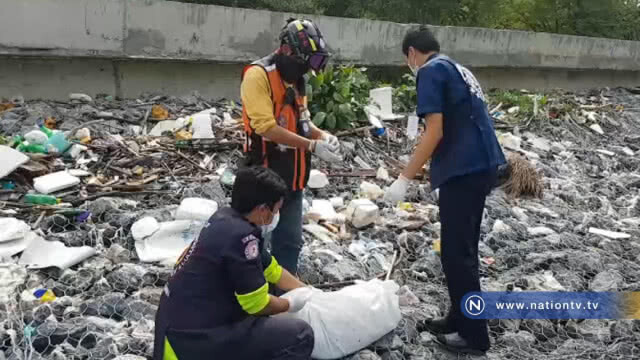 ซากลูกโลมาคาดหลงน้ำเข้าถูกใบพัดเรือสินค้าฟันเสียชีวิตลอยติดริมเขื่อน