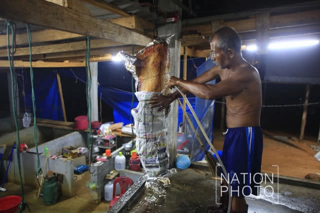 กว่าจะมาเป็น "หมูย่างเมืองตรัง"(ภาพชุด)