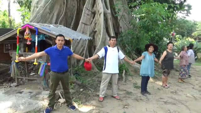 แห่ขอเลขเด็ด ต้นเรือง โบราณ อายุกว่า 500 ปี