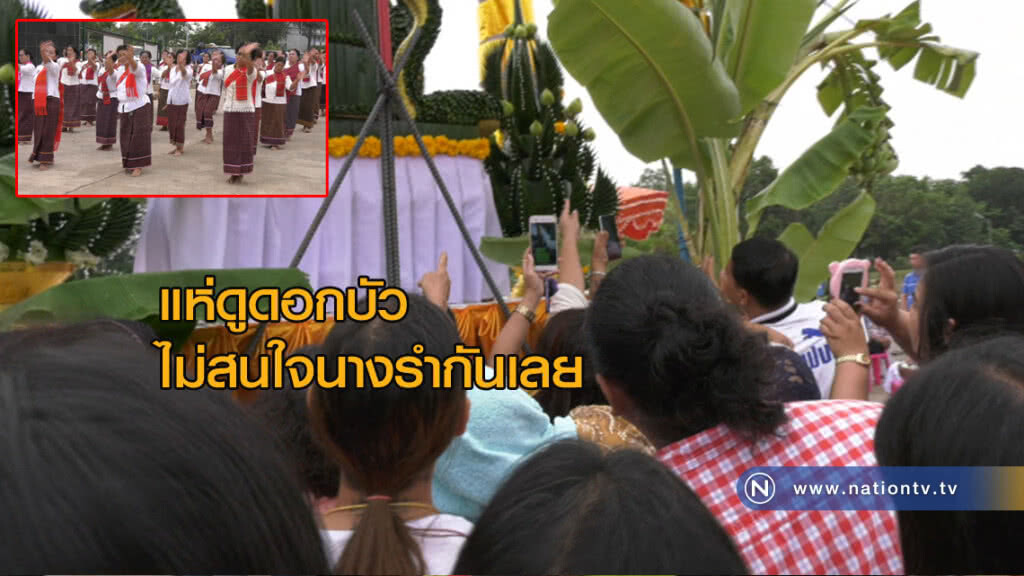 แห่ดูดอกบัว ไม่สนใจนางรำกันเลย
