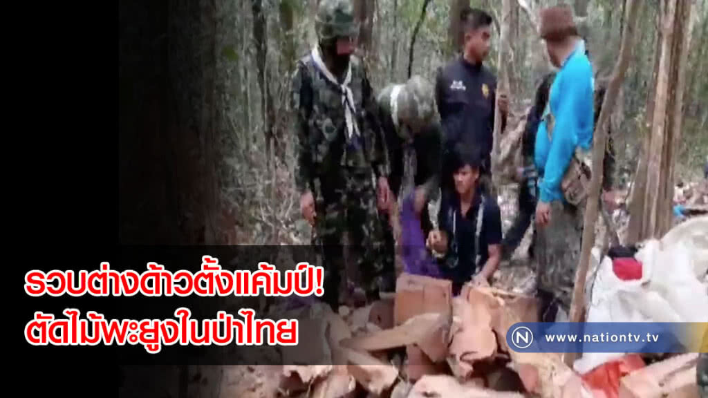 รวบต่างด้าวตั้งแค้มป์! ตัดไม้พะยูงในป่าไทย