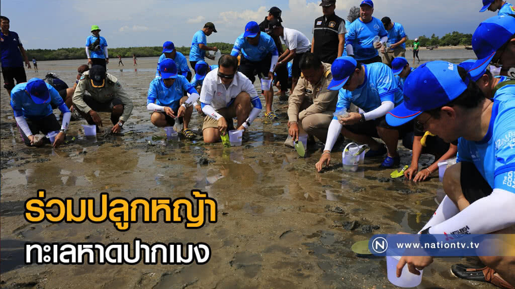ร่วมปลูกหญ้า ทะเลหาดปากเมง ไปกับ ปั่น Slow Life ใส่ใจสิ่งแวดล้อม เมืองต้องห้ามพลาด จ.ตรัง