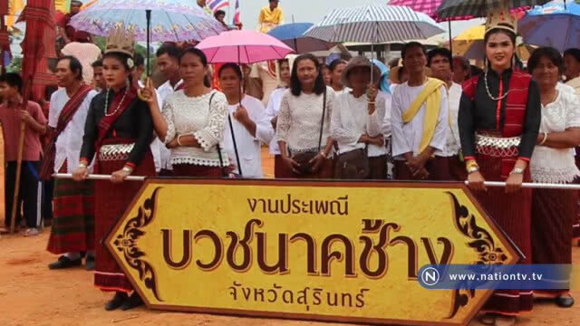 บวชนาคช้าง ยิ่งใหญ่กว่า40เชือกร่วมขบวน