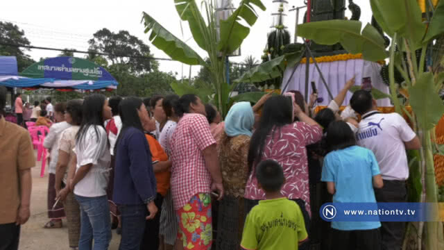 แห่ดูดอกบัว ไม่สนใจนางรำกันเลย