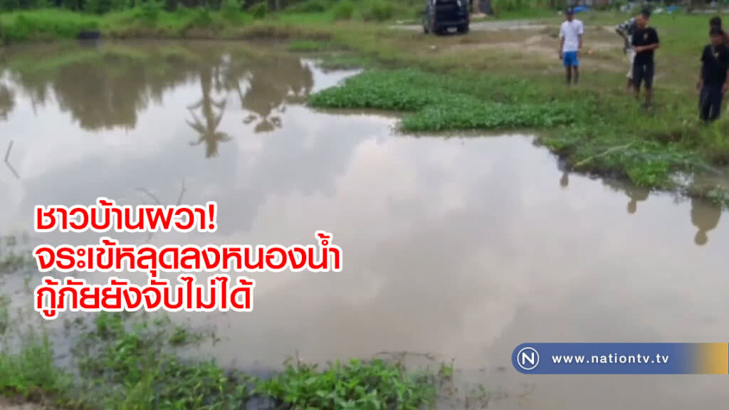 ชาวบ้านผวา!
จระเข้หลุดลงหนองน้ำ
กู้ภัยยังจับไม่ได้ ชาวบ้านผวา!
จระเข้หลุดลงหนองน้ำ
กู้ภัยยังจับไม่ได้