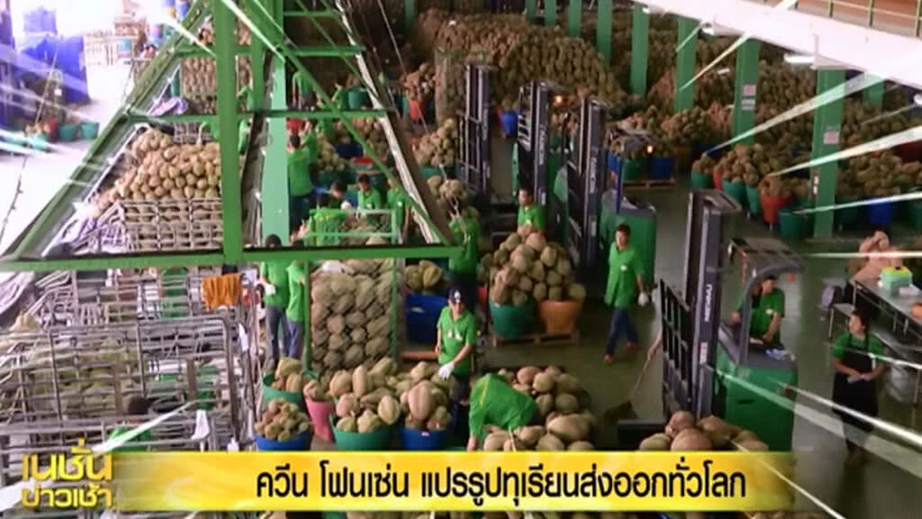 "ควีน โฟรเซ่น" แปรรูปทุเรียนส่งออกทั่วโลก(คลิปข่าว) "ควีน โฟรเซ่น" แปรรูปทุเรียนส่งออกทั่วโลก(คลิปข่าว)