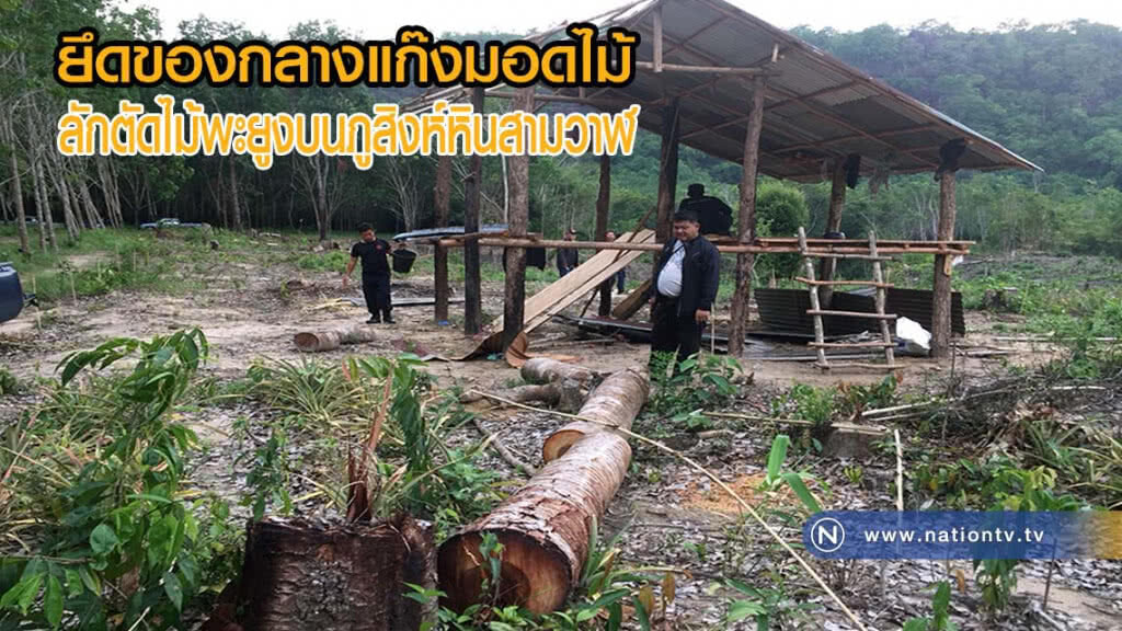 ตามยึดของกลางแก๊งมอดไม้ลักตัดไม้พะยูงบนภูสิงห์หินสามวาฬ