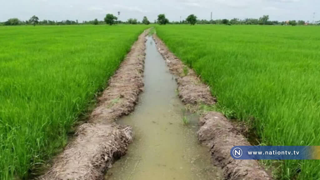 ดีเดย์ 1 พ.ค.ปล่อยน้ำเข้า 12 ทุ่ง ลุ่มเจ้าพระยาตอนล่าง ดีเดย์ 1 พ.ค.ปล่อยน้ำเข้า 12 ทุ่ง ลุ่มเจ้าพระยาตอนล่าง