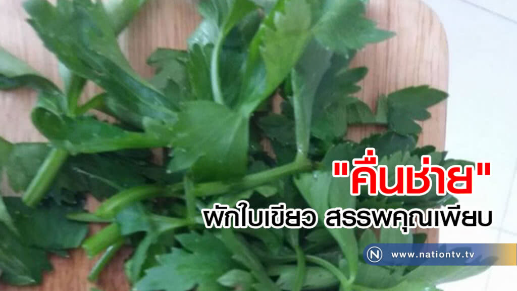 "คื่นช่าย" ผักใบเขียว สรรพคุณเพียบ