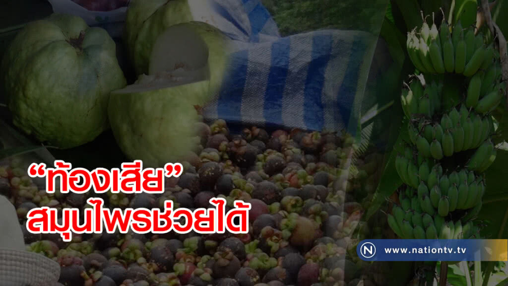 หมอแนะพก "ยาสมุนไพร" แก้"ท้องเสีย"ติดตัวช่วงหน้าร้อน