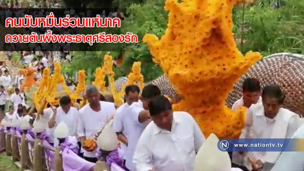 สุดยิ่งใหญ่! คนนับหมื่นร่วมแห่นาคและถวายต้นผึ้งพระธาตุศรีสองรัก(คลิป) สุดยิ่งใหญ่! คนนับหมื่นร่วมแห่นาคและถวายต้นผึ้งพระธาตุศรีสองรัก(คลิป)
