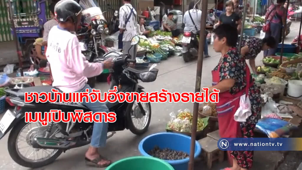 ชาวบ้านแห่จับอึ่งขายสร้างรายได้เมนูเปิบพิสดาร ชาวบ้านแห่จับอึ่งขายสร้างรายได้เมนูเปิบพิสดาร