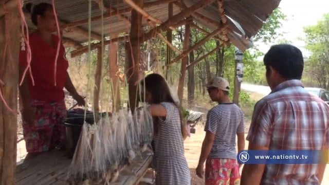 ชาวบ้านแห่จับอึ่งขายสร้างรายได้เมนูเปิบพิสดาร