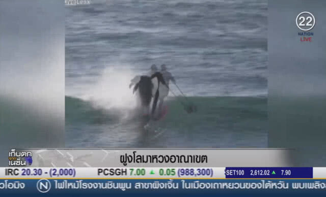 (คลิปข่าว) ฝูงโลมาหวงอาณาเขต