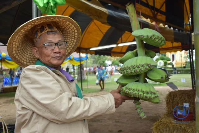 ชาวบ้านแห่ดู "กล้วยพนมมือ" พันธุ์หายาก