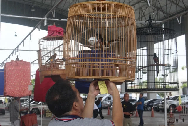 แข่งขันนกกางเขนดงการกุศลชิงถ้วยเกียรติยศ 10 ปี ตำนานบินหลาไทย(มีคลิป)