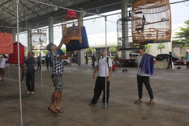 แข่งขันนกกางเขนดงการกุศลชิงถ้วยเกียรติยศ 10 ปี ตำนานบินหลาไทย(มีคลิป)