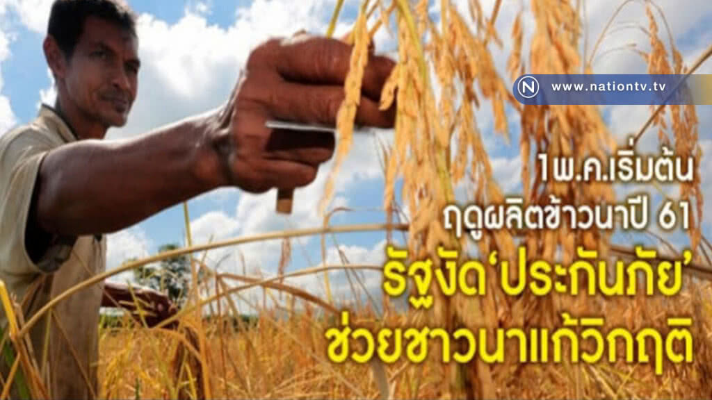  1พ.ค.ได้ฤกษ์เริ่มต้่นฤดูเพาะปลูกข้าวนาปี 61/62