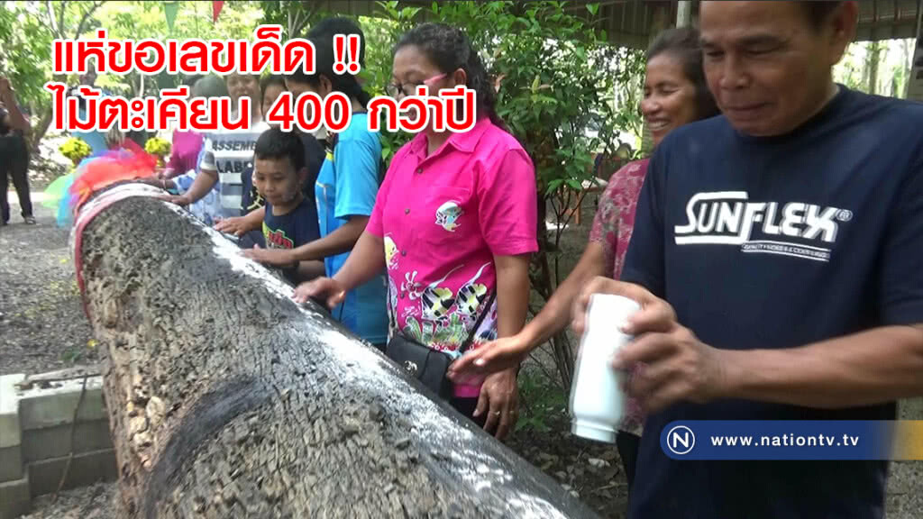 ชาวบ้านแห่ขอเลขเด็ด !! ไม้ตะเคียนอายุกว่า 400 ปี ชาวบ้านแห่ขอเลขเด็ด !! ไม้ตะเคียนอายุกว่า 400 ปี