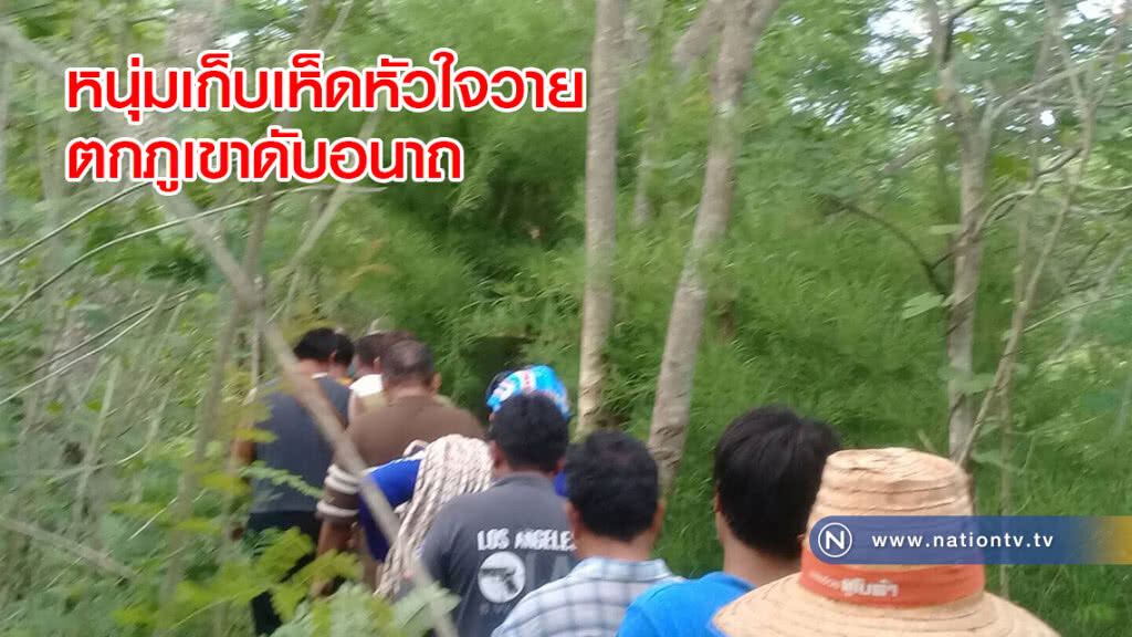 หนุ่มเก็บเห็ดหัวใจวายตกภูเขาดับอนาถ หนุ่มเก็บเห็ดหัวใจวายตกภูเขาดับอนาถ