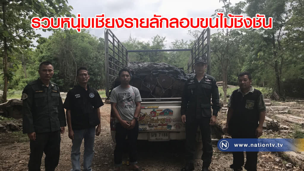 รวบหนุ่มเชียงรายลักลอบขนไม้ชิงชัน รวบหนุ่มเชียงรายลักลอบขนไม้ชิงชัน