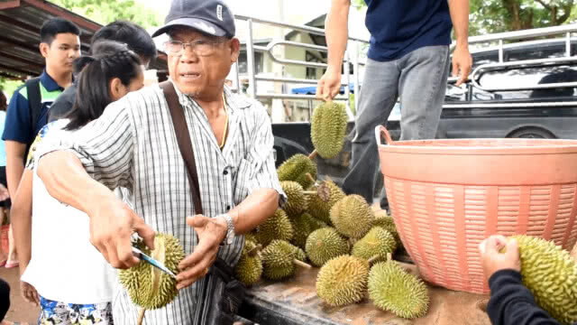 รีบเลย!
ชาวสวน"ทุเรียน"แจก
"กินฟรี"ตลอดฤดูกาล