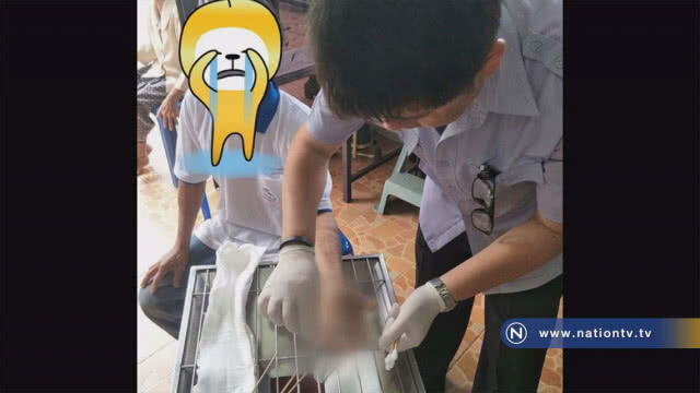 บึ้มคามือ !! หนุ่มใช้มือถือระหว่างชาร์จ คาดสายชาร์จไม่ได้มาตรฐาน