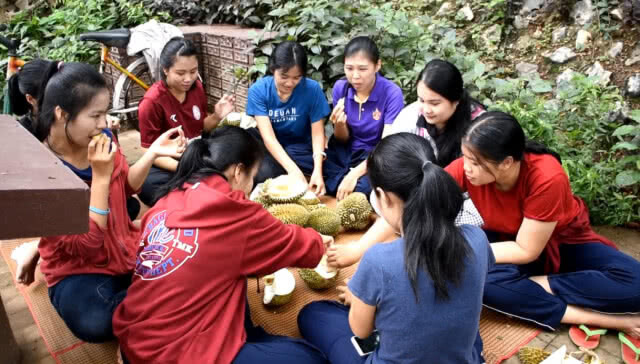 รีบเลย!
ชาวสวน"ทุเรียน"แจก
"กินฟรี"ตลอดฤดูกาล