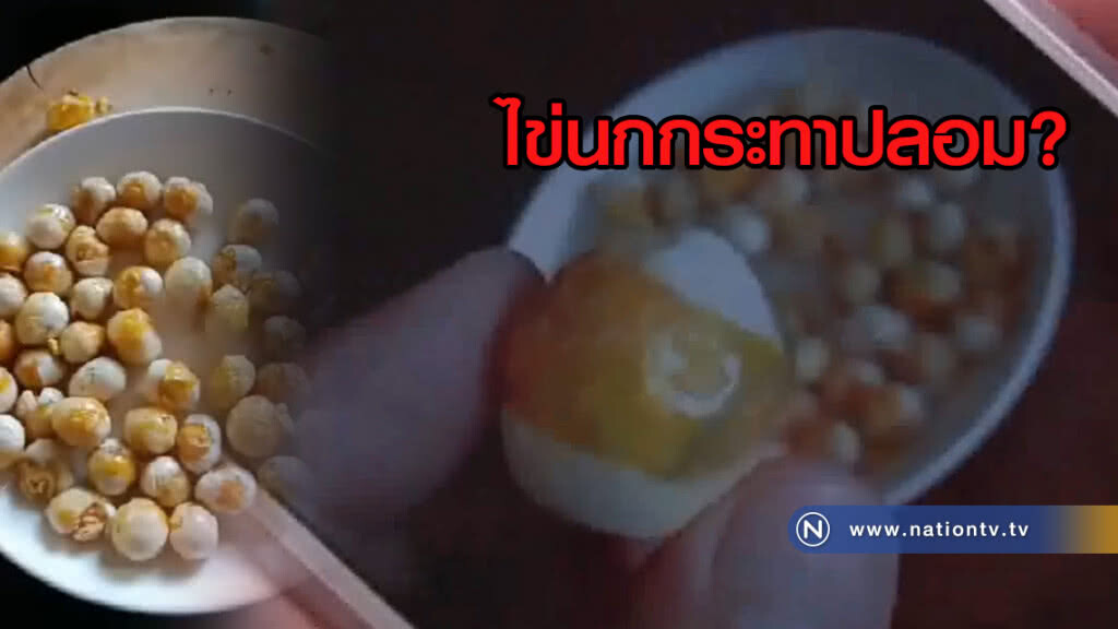 หนุ่มสุดงง ซื้อไข่นกกระทามาทอดกิน กลายเป็นพลาสติก