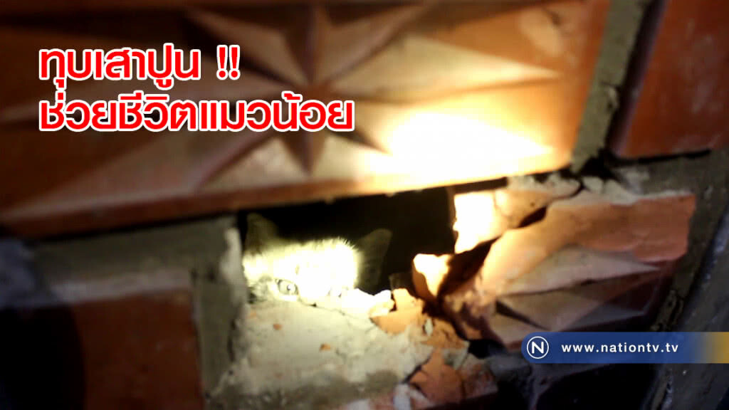 กู้ภัยทุบเสาปูน !! ช่วยชีวิตแมวน้อยติดอยู่ในเสานานนับสัปดาห์ กู้ภัยทุบเสาปูน !! ช่วยชีวิตแมวน้อยติดอยู่ในเสานานนับสัปดาห์