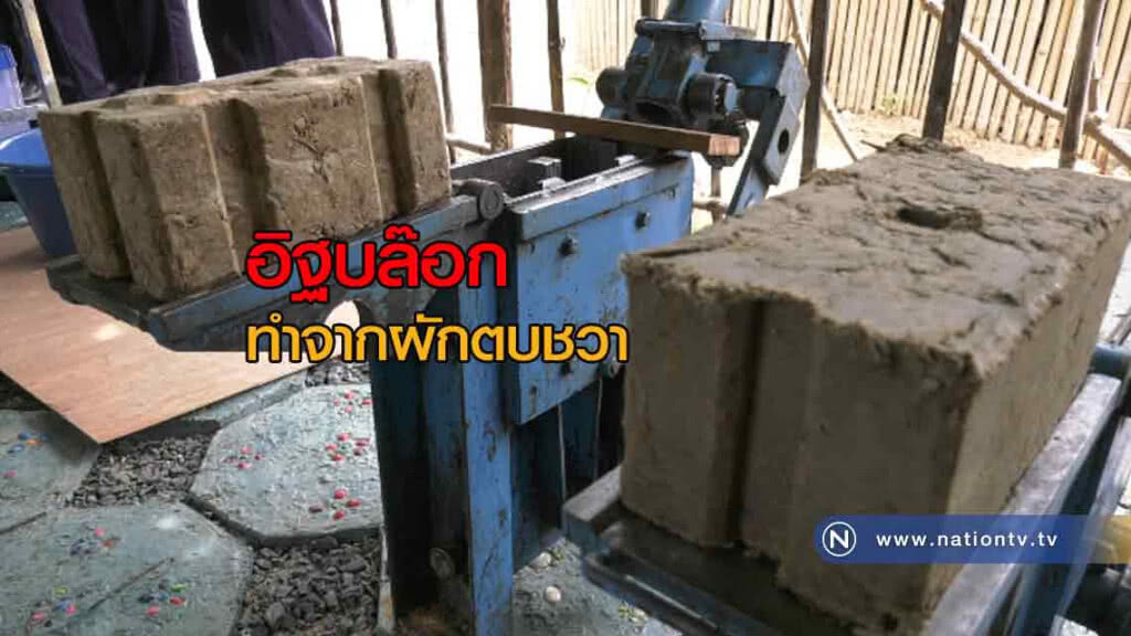 เปิดตัว "อิฐบล๊อกทำจากผักตบชวา" ก่อนนำมาสร้างบ้าน