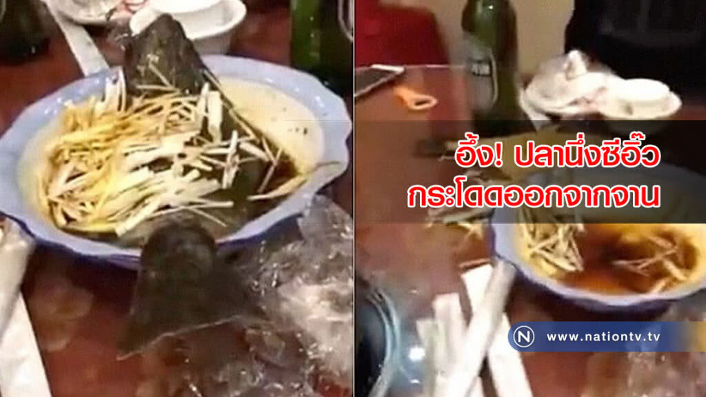 (คลิปข่าว) อึ้ง! ปลานึ่งซีอิ๊วกระโดดออกจากจาน เล่นเอาตกใจลุกกันทั้งโต๊ะ (คลิปข่าว) อึ้ง! ปลานึ่งซีอิ๊วกระโดดออกจากจาน เล่นเอาตกใจลุกกันทั้งโต๊ะ