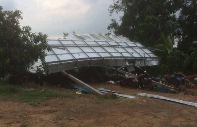 ฟ้าฝนลมกระโชกแรง ต้นไม้ล้ม บ้านหลังคาปลิว(มีคลิป)