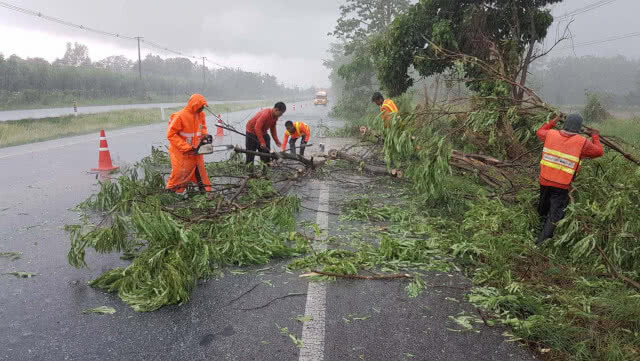 ฟ้าฝนลมกระโชกแรง ต้นไม้ล้ม บ้านหลังคาปลิว(มีคลิป)