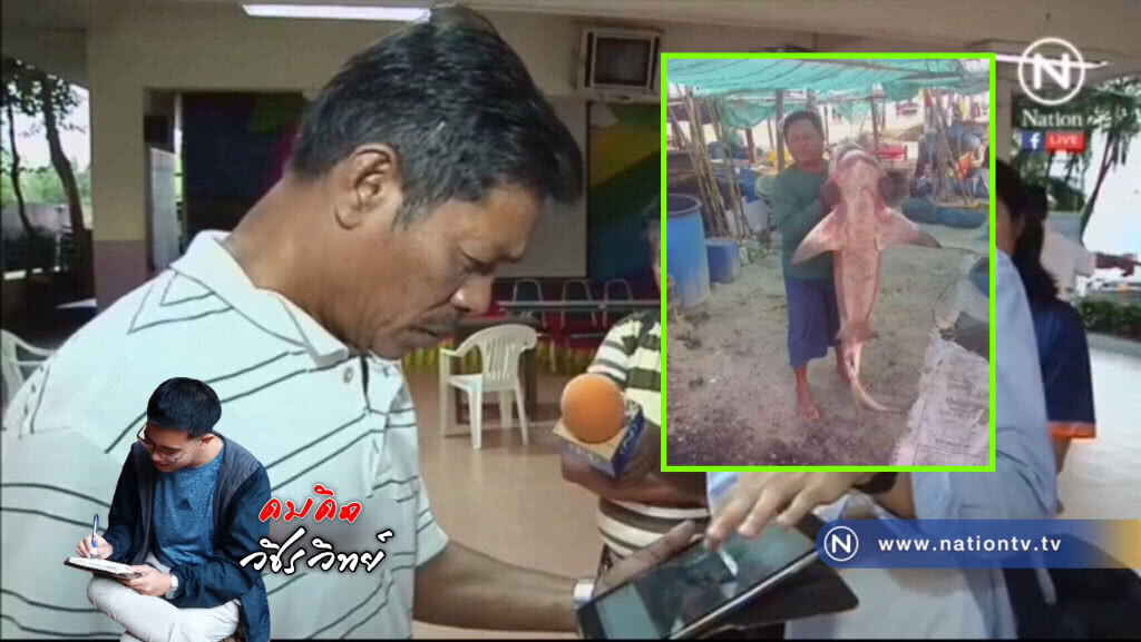 ควรขึ้นทะเบียน "ฉลามหัวบาตร" เป็นสัตว์สงวน หรือไม่? ควรขึ้นทะเบียน "ฉลามหัวบาตร" เป็นสัตว์สงวน หรือไม่?