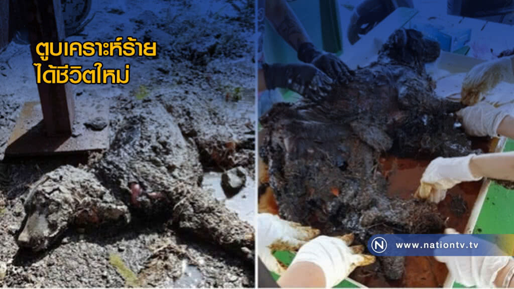 ตูบเคราะห์ร้ายได้ชีวิตใหม่! คนใจดีช่วยล้างยางมะตอย ตูบเคราะห์ร้ายได้ชีวิตใหม่! คนใจดีช่วยล้างยางมะตอย