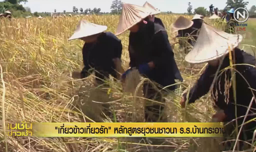 (คลิปข่าว) "เกี่ยวข้าวเกี่ยวรัก" หลักสูตรยุวชนชาวนา ร.ร.บ้านกระอาน (คลิปข่าว) "เกี่ยวข้าวเกี่ยวรัก" หลักสูตรยุวชนชาวนา ร.ร.บ้านกระอาน