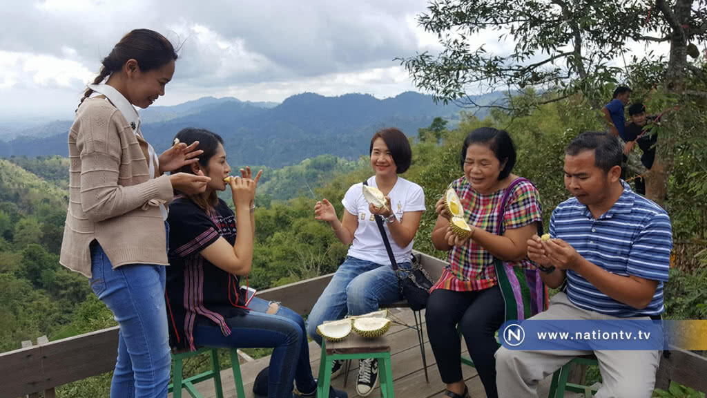 จัดทริป"ขึ้นดอยลับแลกินทุเรียนใต้ต้นในหุบเขา"คาดเงินสะพัดพันล้าน จัดทริป"ขึ้นดอยลับแลกินทุเรียนใต้ต้นในหุบเขา"คาดเงินสะพัดพันล้าน