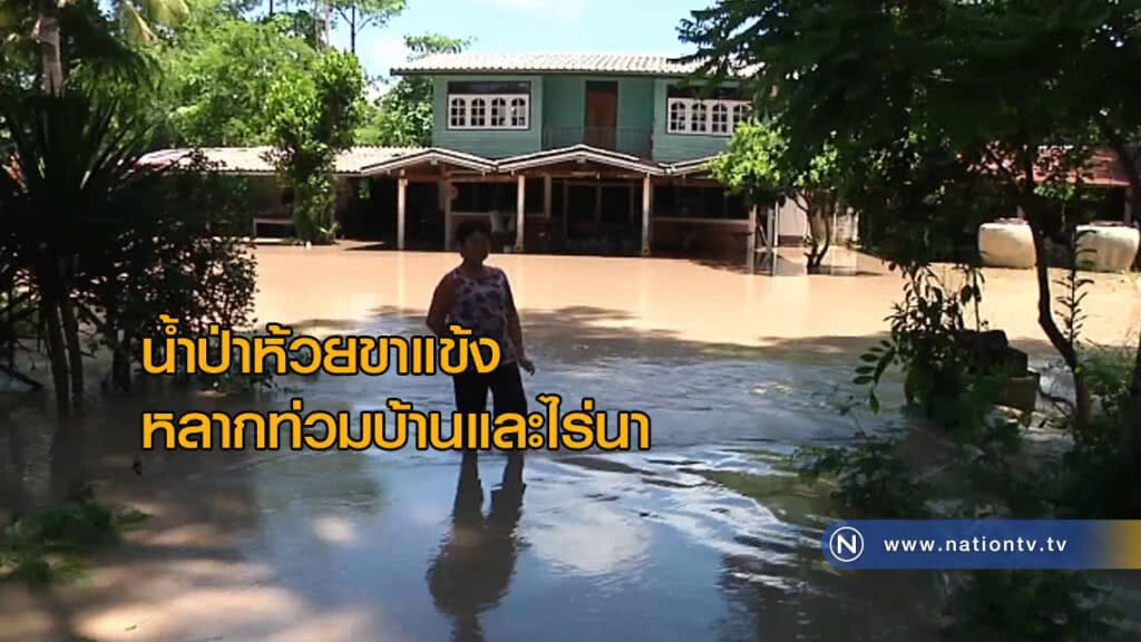 น้ำป่าห้วยขาแข้งหลากท่วมบ้านและไร่นา น้ำป่าห้วยขาแข้งหลากท่วมบ้านและไร่นา