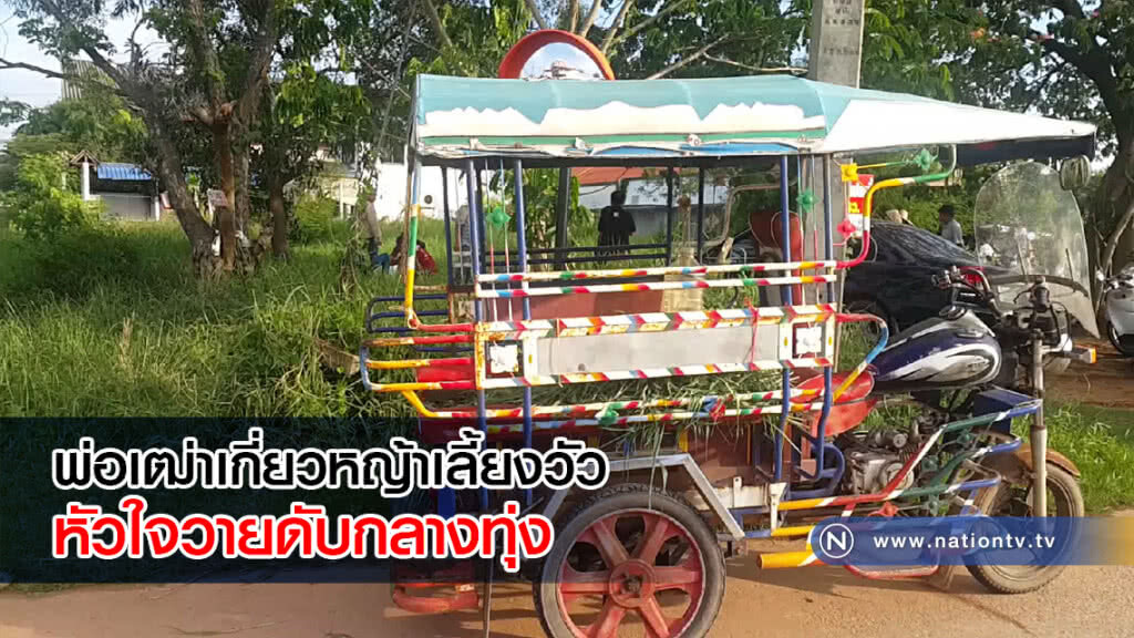 พ่อเฒ่าเกี่ยวหญ้าเลี้ยงวัวหัวใจวายดับกลางทุ่ง พ่อเฒ่าเกี่ยวหญ้าเลี้ยงวัวหัวใจวายดับกลางทุ่ง