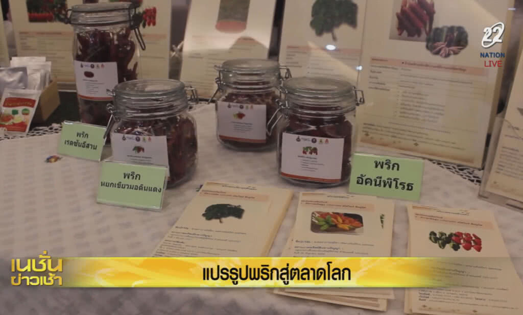 (คลิปข่าว) นักวิจัย ม.ขอนแก่น แปรรูปพริกสู่ตลาดโลก (คลิปข่าว) นักวิจัย ม.ขอนแก่น แปรรูปพริกสู่ตลาดโลก