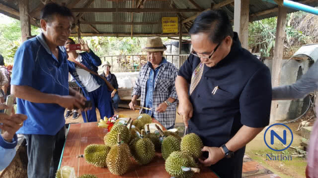 จัดทริป"ขึ้นดอยลับแลกินทุเรียนใต้ต้นในหุบเขา"คาดเงินสะพัดพันล้าน