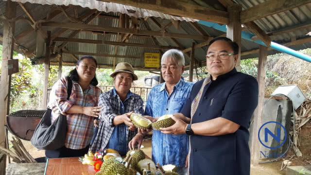 จัดทริป"ขึ้นดอยลับแลกินทุเรียนใต้ต้นในหุบเขา"คาดเงินสะพัดพันล้าน